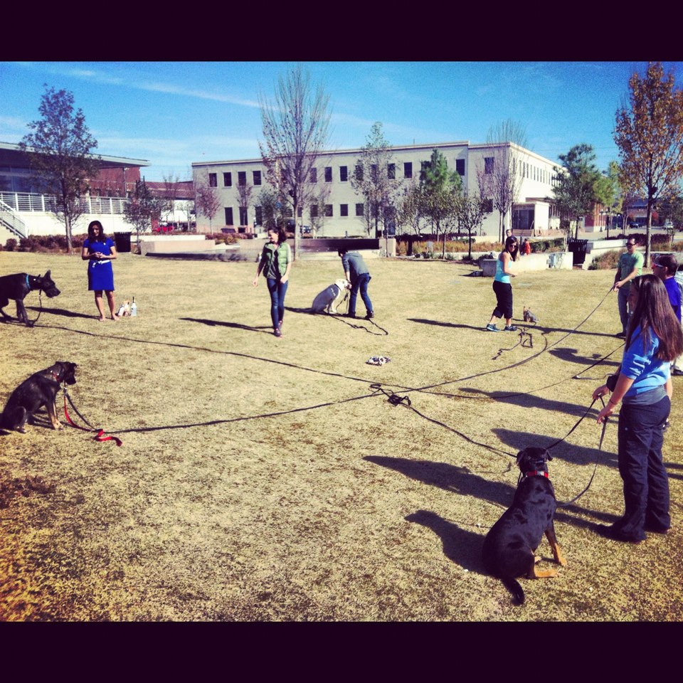 Intermediate Adventure Class